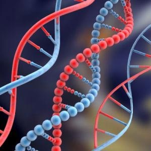 What is Genetic Testing