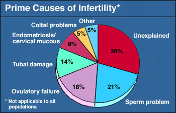 Causes of Infertility in Females