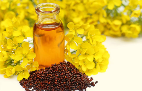 Top 27 Health Benefits of Mustard Oil