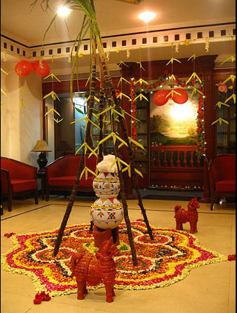 Pongal Festival - Celebrating Prosperity